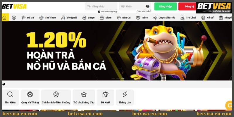 Betvisa mang đến thiên đường giải trí siêu đỉnh 