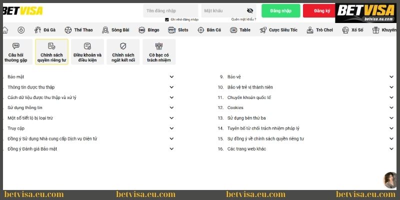 Chính sách bảo mật Betvisa bảo vệ dữ liệu riêng tư