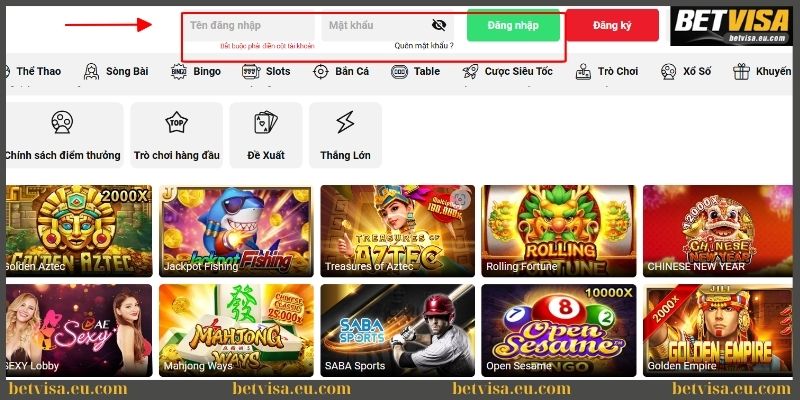 Điền thông tin vào biểu mẫu chuẩn xác trên web Betvisa 