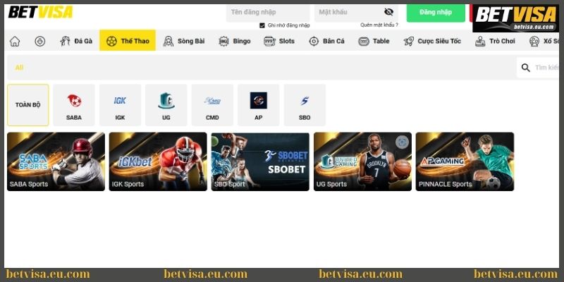 Cá độ thể thao làm giàu nhanh chóng tại Betvisa 