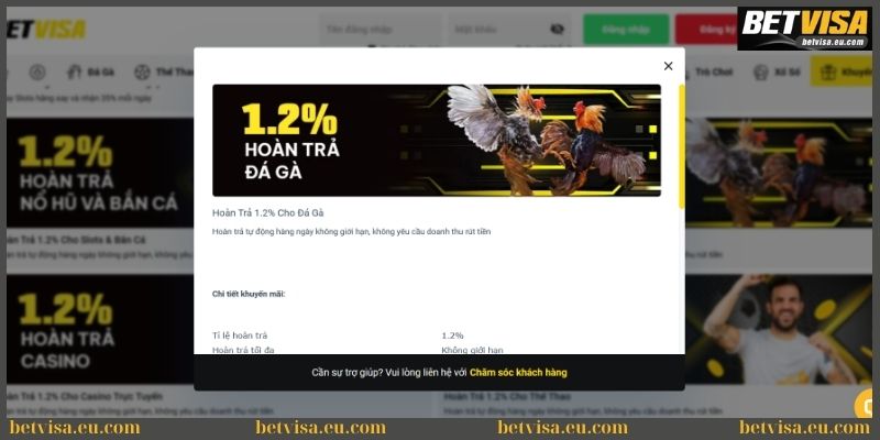 Khuyến mãi Betvisa - Top các sự kiện đình đám hiện nay 3 Khuyến mãi Betvisa hoàn trả tỷ lệ 1.2% cho đá gà